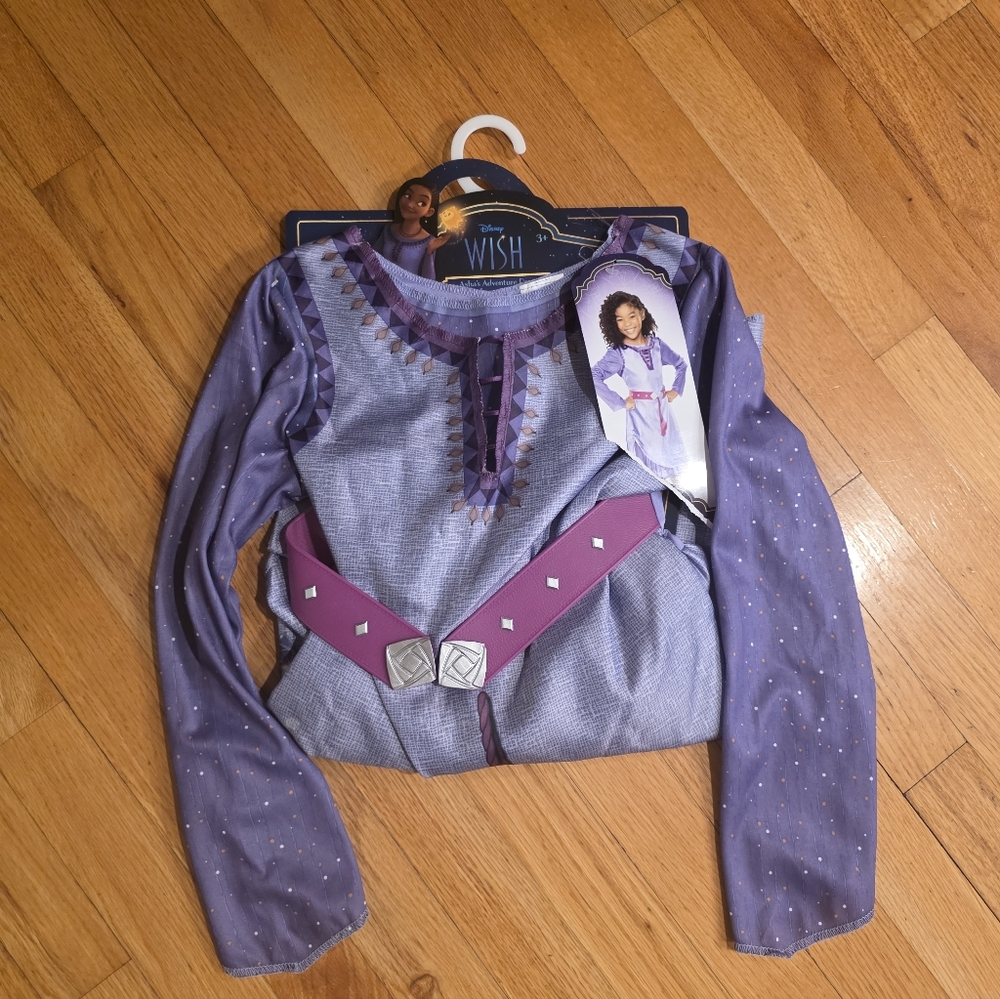 Disney Wish Asha's Adventure Dress